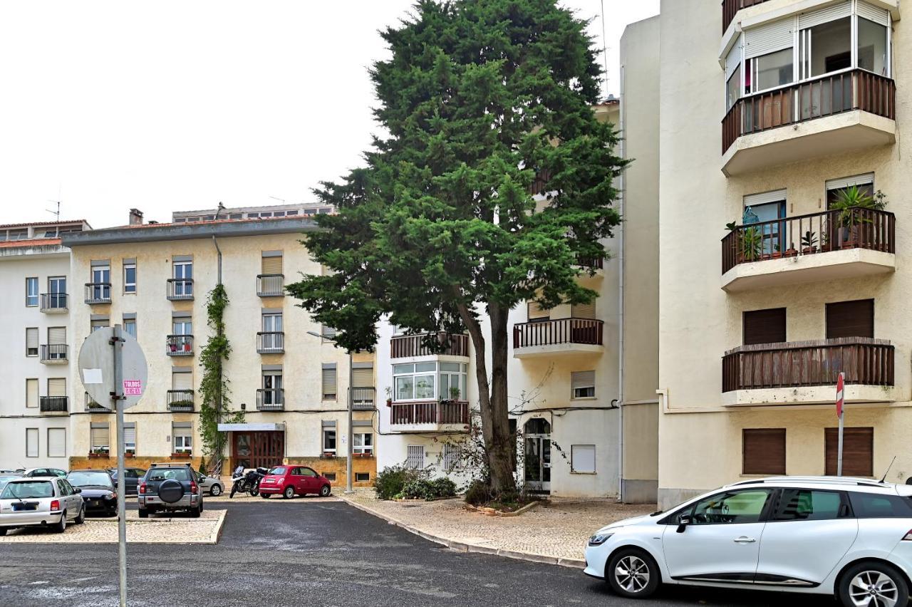 Cascais Studio Outdoor Patio Newly Renovated 외부 사진